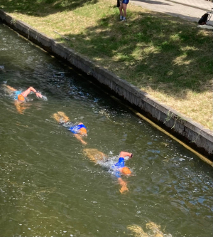 Triathlon Zeewolde